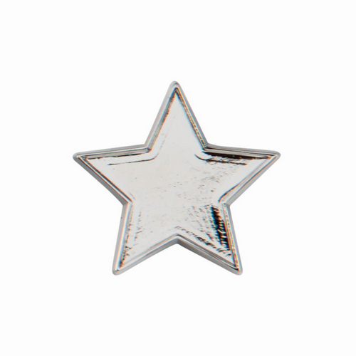 Scholar Pin Badge Star Silver | 20mm |