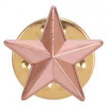 3D Bronze Star Pin Badge | 12mm |