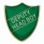 Scholar Pin Badge Deputy Head Boy Green | 25mm |  - SB16103G