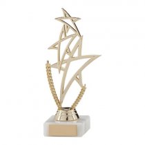 Rising Star Multi-Sport Trophy | Gold | 180mm | G7