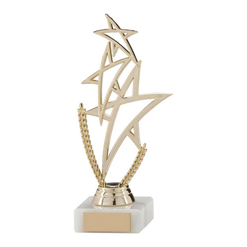 Rising Star Multi-Sport Trophy | Gold | 180mm | G7