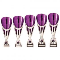 Rising Stars Deluxe Plastic Lazer Cup | Silver & Purple | 305mm | S24