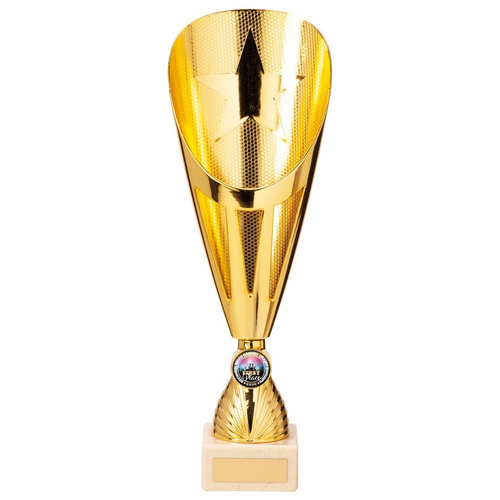 Rising Stars Deluxe Plastic Lazer Cup Gold | 315mm | G25