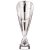 Rising Stars Deluxe Plastic Lazer Cup | Silver | 305mm | S7 - TR20537B