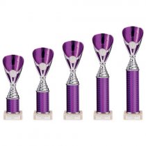 Rising Stars Plastic Trophy | Purple | 230mm |