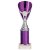 Rising Stars Plastic Trophy | Purple | 255mm |  - TR23563B