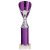 Rising Stars Plastic Trophy | Purple | 280mm |  - TR23563C