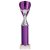 Rising Stars Plastic Trophy | Purple | 305mm |  - TR23563D