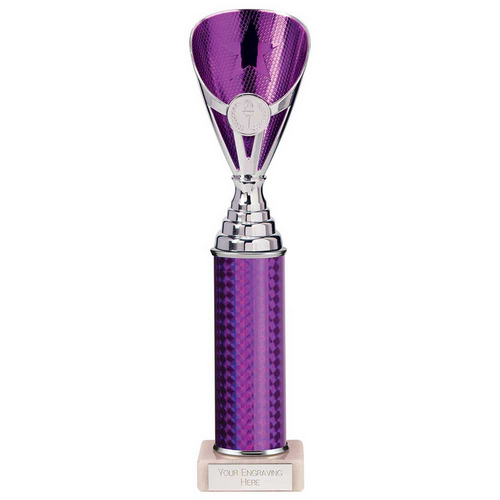 Rising Stars Plastic Trophy | Purple | 305mm |