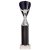 Rising Stars Plastic Trophy | Black | 305mm |  - TR23566D