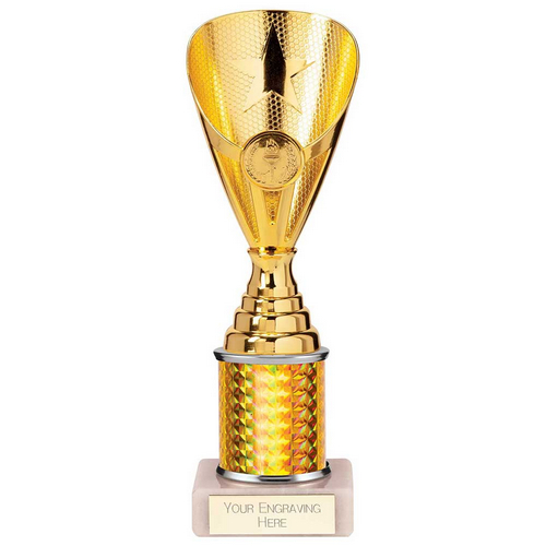 Rising Stars Plastic Trophy | Gold | 230mm |