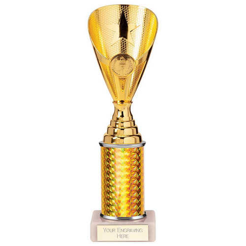 Rising Stars Plastic Trophy | Gold | 255mm |