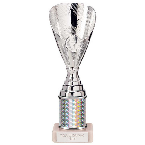 Rising Stars Plastic Trophy | Silver | 230mm |