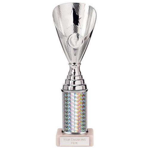 Rising Stars Plastic Trophy | Silver | 255mm |