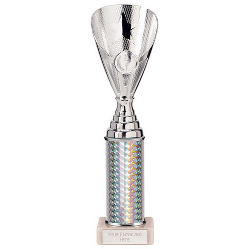 Rising Stars Plastic Trophy | Silver | 280mm |