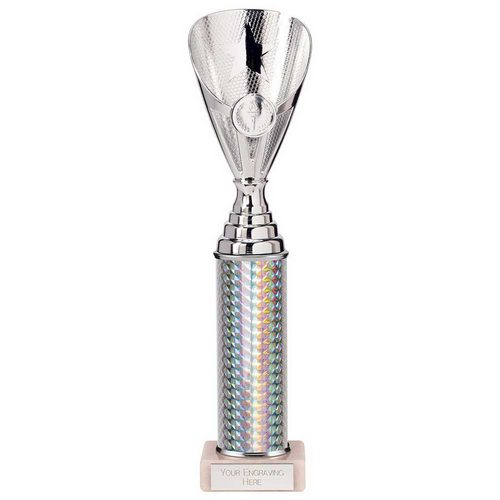 Rising Stars Plastic Trophy | Silver | 305mm |