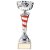 Eternity Trophy Cup | Silver & Red | 240mm | G7 - TR20311D