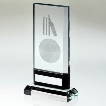 Imagine Crystal Cricket Trophy | 210mm |