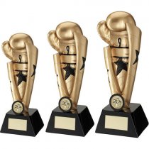 Ultima Boxing Star Trophy | 254mm |