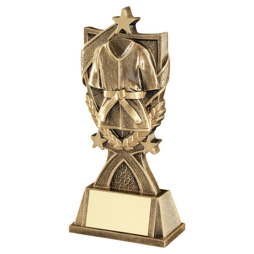 Star Shield Martial Arts Trophy | 165mm |