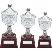 Bien Fait Celebration Crystal Trophy Cup | 286mm |