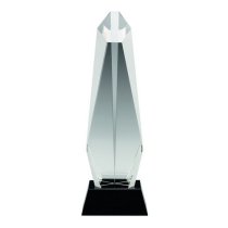 Shard Crystal Corporate Trophy | 279mm |