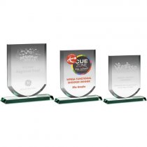 Insignia Crystal Corporate Award |10mm thick | 140mm |