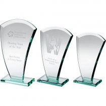 Curved Crystal Corporate Award |10mm thick | 165mm |