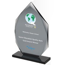 Diamond Smoked Crystal Corporate Award |10mm thick | 241mm |