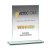 Merit Crystal Corporate Award | 10mm thick | 210mm |  - TP02C