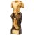 Tempo Football Shirt Trophy | 245mm | G24  - HRF590C