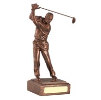 Male Golf Swing Award | 305mm
