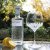 Royal Scot Zest | Copa Gin Glass | Gift Box - ZEST1GIN