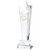 Crystal Star Column Trophy | 230mm - T8620