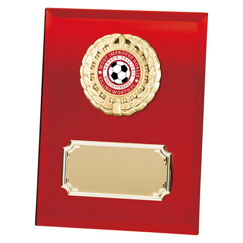 Mirage Multi-Sport Mirror Plaque | Red | 150mm