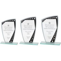 Cosmic Mirror Glass Award | Black & Silver | 170mm