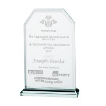 Executive Jade Glass Award | 135mm