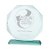 Aspire Jade Glass Award | 175mm - CR16138B