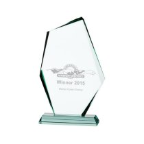 Discovery Jade Glass Award | 190mm