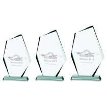Discovery Jade Glass Award | 190mm