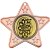 Darts Star Shaped Medal | Bronze | 50mm - M10BZ.DARTS