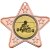 Go Kart Star Shaped Medal | Bronze | 50mm - M10BZ.GOKART