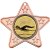 Swimming Star Shaped Medal | Bronze | 50mm - M10BZ.SWIMMING