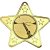Clay Pigeon Star Shaped Medal | Gold | 50mm - M10G.CLAYSHOOT