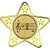 Music Star Shaped Medal | Gold | 50mm - M10G.MUSIC