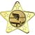 Snooker Star Shaped Medal | Gold | 50mm - M10G.SNOOKER