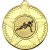 Rugby Striped Star Medal | Gold | 50mm - M26G.RUGBY