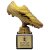 Fusion Viper Legend Football Boot Trophy | Black & Gold | 160mm | S7 - TH24060C