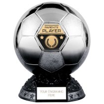 Elite Heavyweight Parents Player Football Trophy | Platinum to Black | 200mm | G25