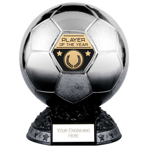 Elite Heavyweight Player of Year Football Trophy | Platinum to Black | 200mm | G25